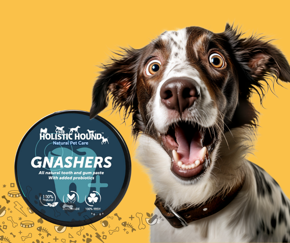 Gnashers